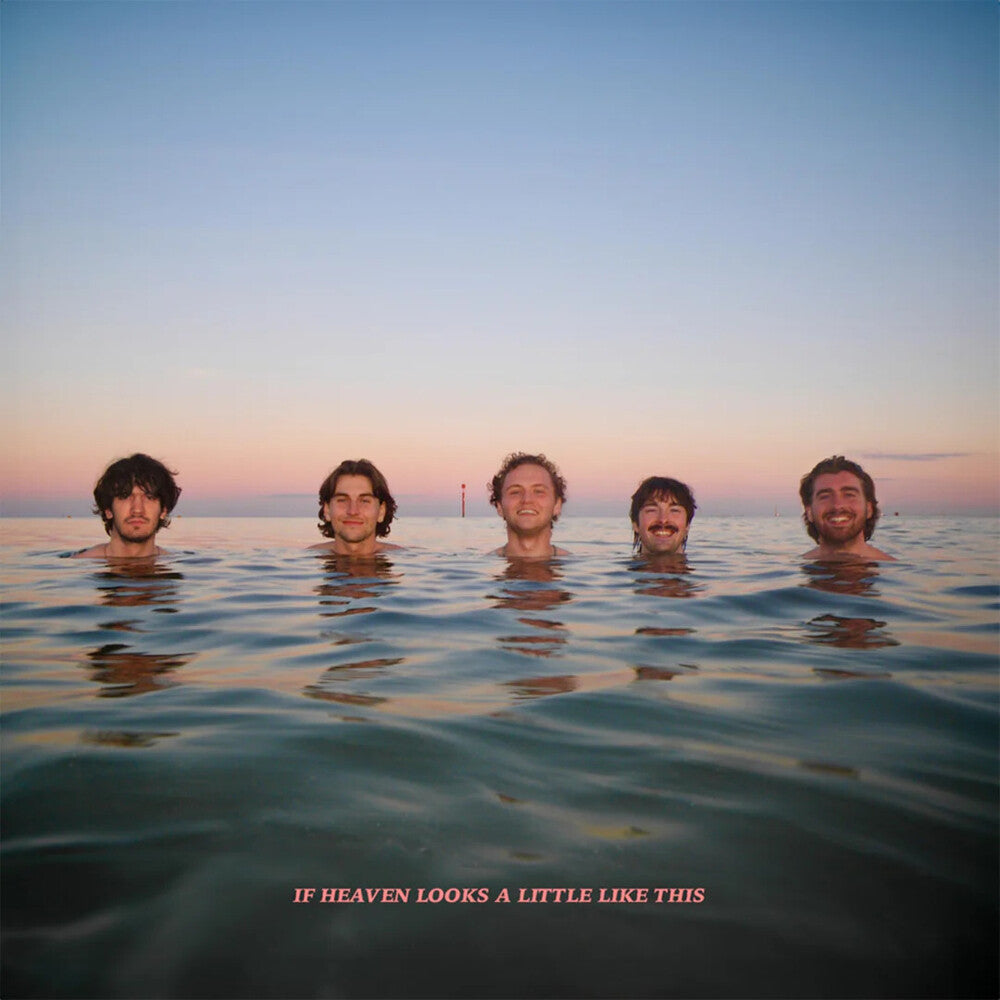 the album cover for Delights - If Heaven Looks A Little Like This [Colored Vinyl] (Org)