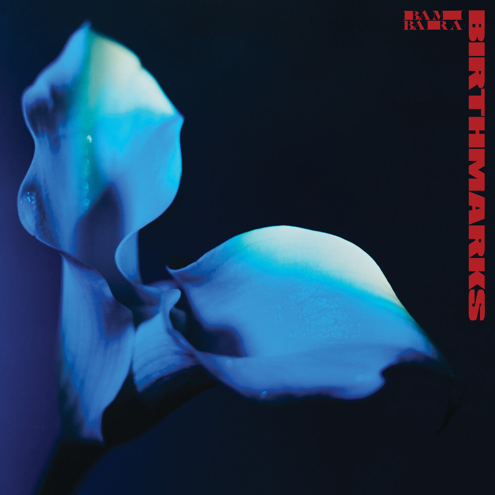 Birthmarks (Blue) [Colored Vinyl] Vinyl Record