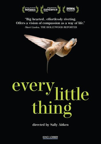 Every Little Thing - Every Little Thing - DVD