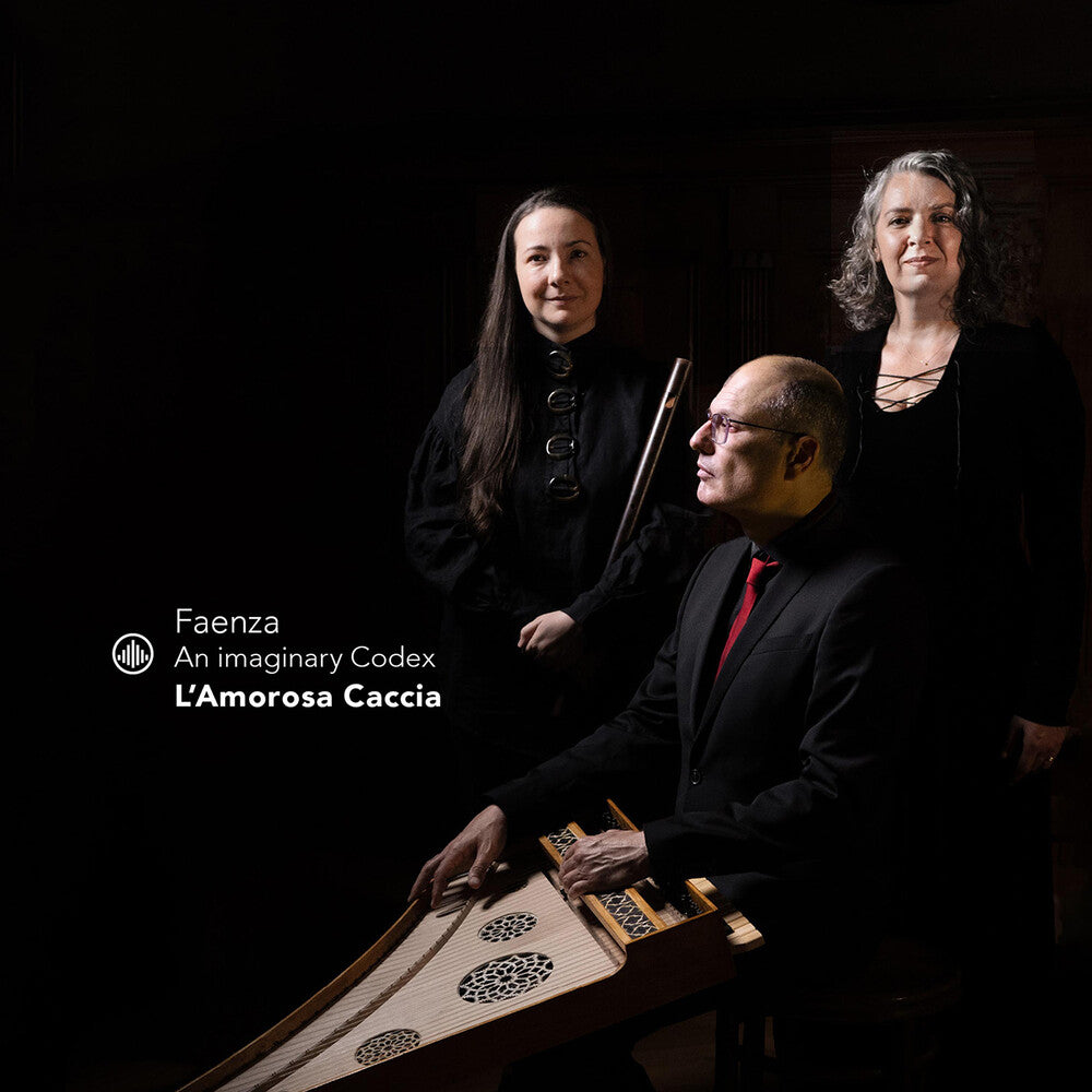 the album cover for Various / Falcone - Faenza - An Imaginary Codex