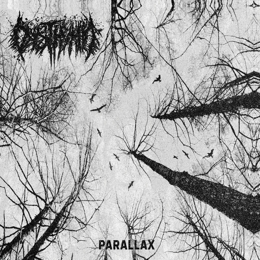 the album cover for Dysthymia - Parallax