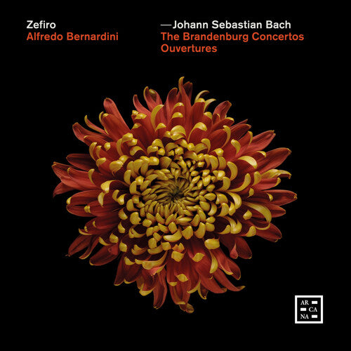 Bach,j.s. / Bernardini - Brandenburg Concertos - Ouvertures - Music CD
