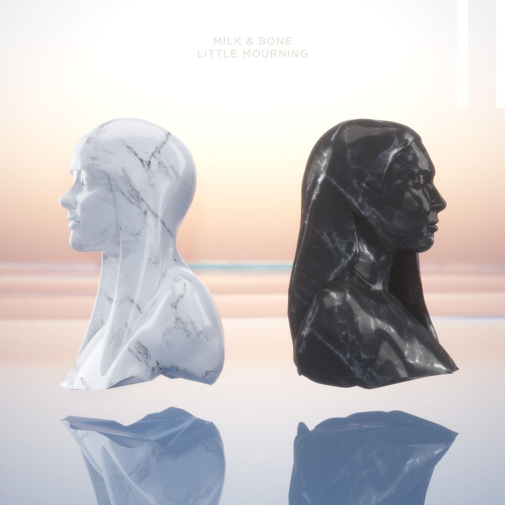 the album cover for Milk & Bone - Little Mourning