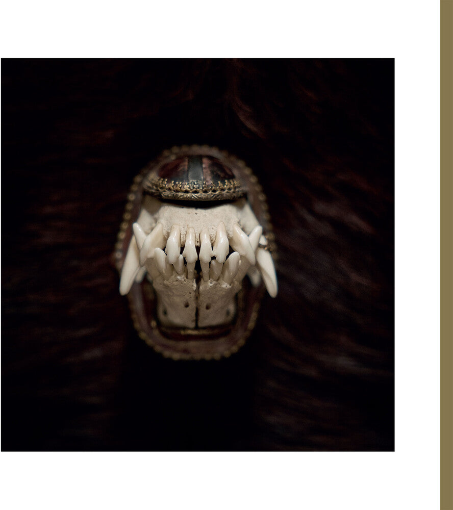 the album cover for Amenra - De Toorn [LP EP]