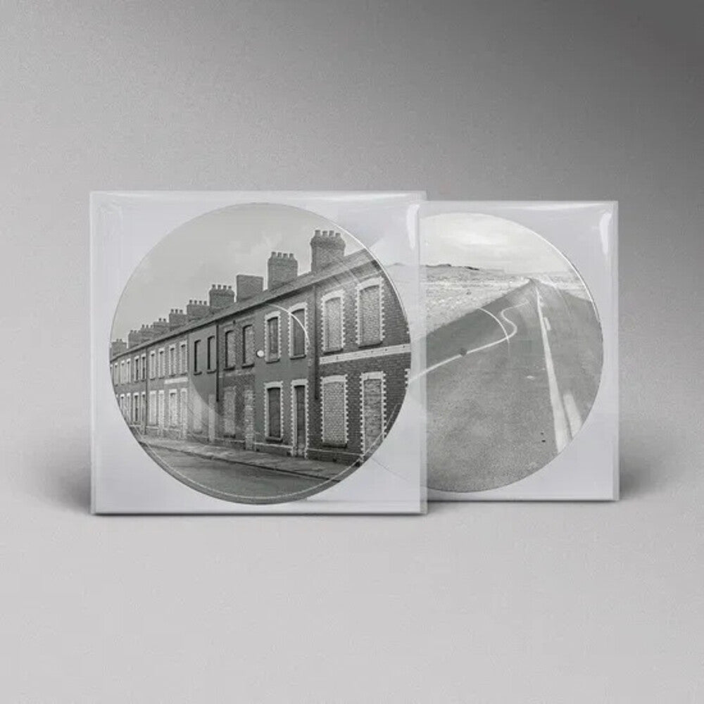 Critical Thinking [Limited Edition] (Pict) (Port) Vinyl Record