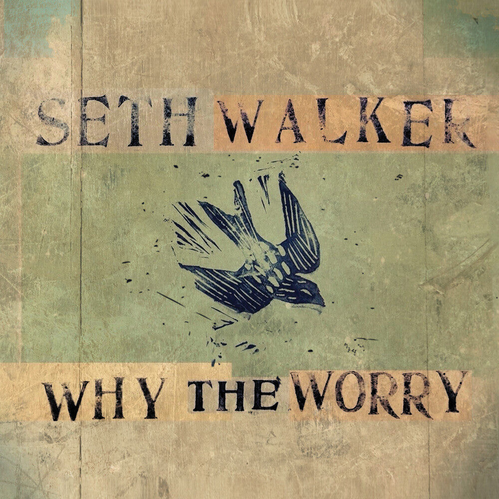Seth Walker - Why The Worry [LP] Vinyl Record