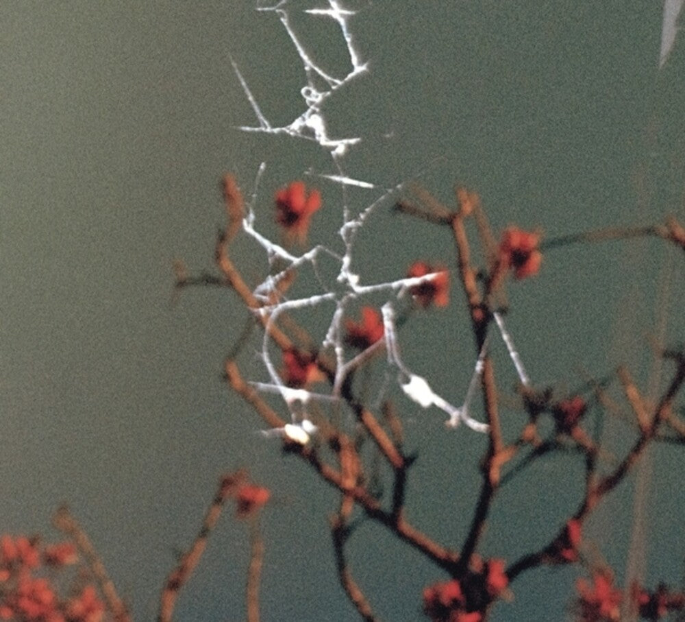 the album cover for Dale, Jon - Last Blues