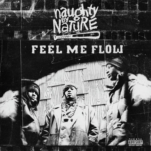 the album cover for Naughty By Nature - Feel Me Flow
