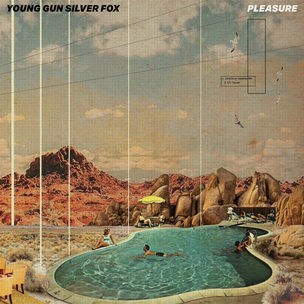 the album cover for Young Gun Silver Fox - Pleasure