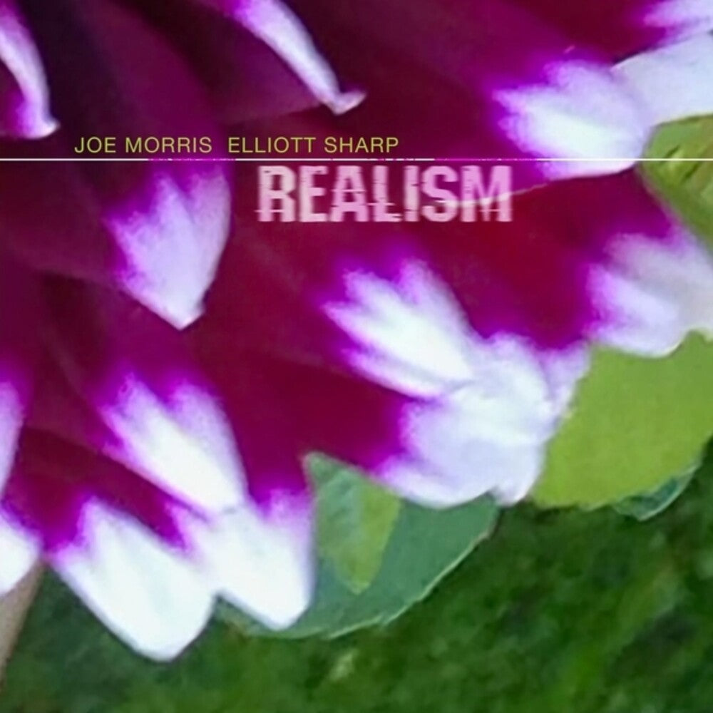 the album cover for Joe Morris  / Sharp,Elliott - Realism
