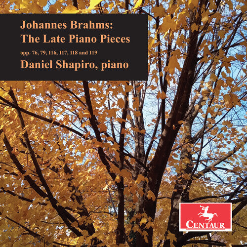 Shapiro,daniel - Brahms: The Late Piano Pieces - Music CD
