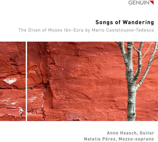 the album cover for Anne Haasch - Songs Of Wandering