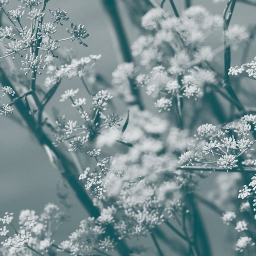 the album cover for Wong, Theresa - Journey To The Cave Of Guanyin