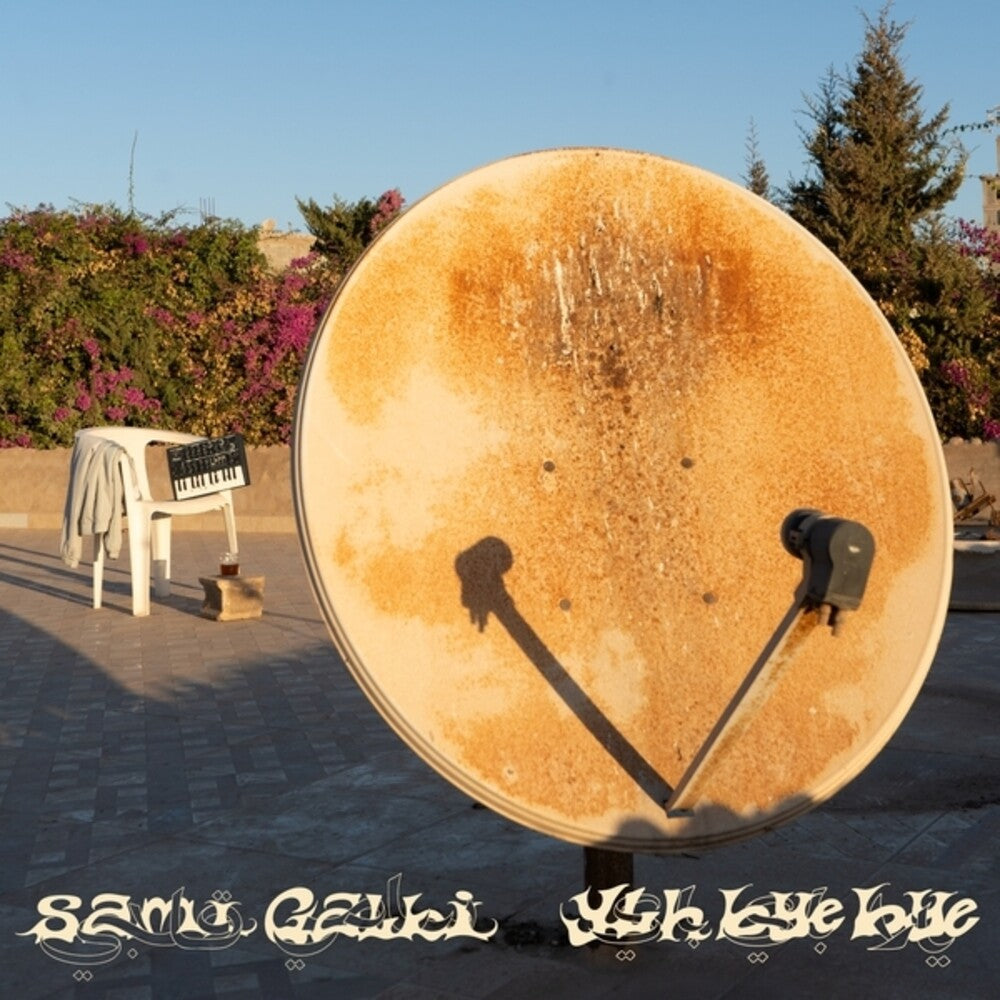 Ylh Bye Bye [LP] Vinyl Record