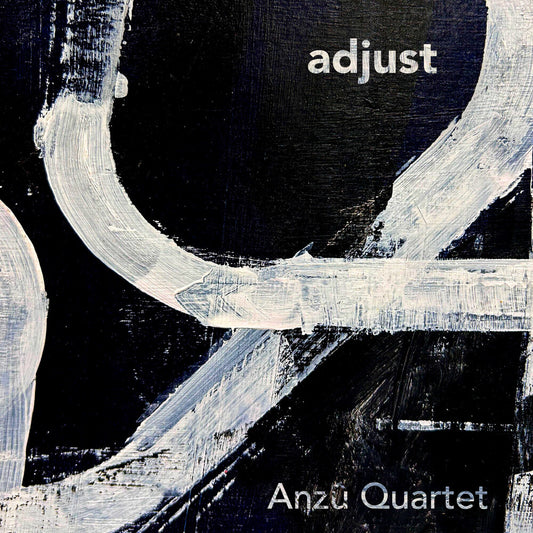 the album cover for Anzu Quartet - Adjust