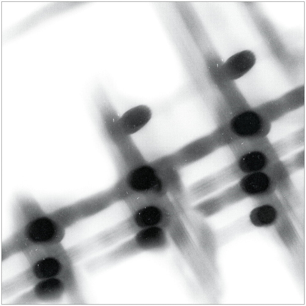 the album cover for Gregor Samsa - 40:13.5