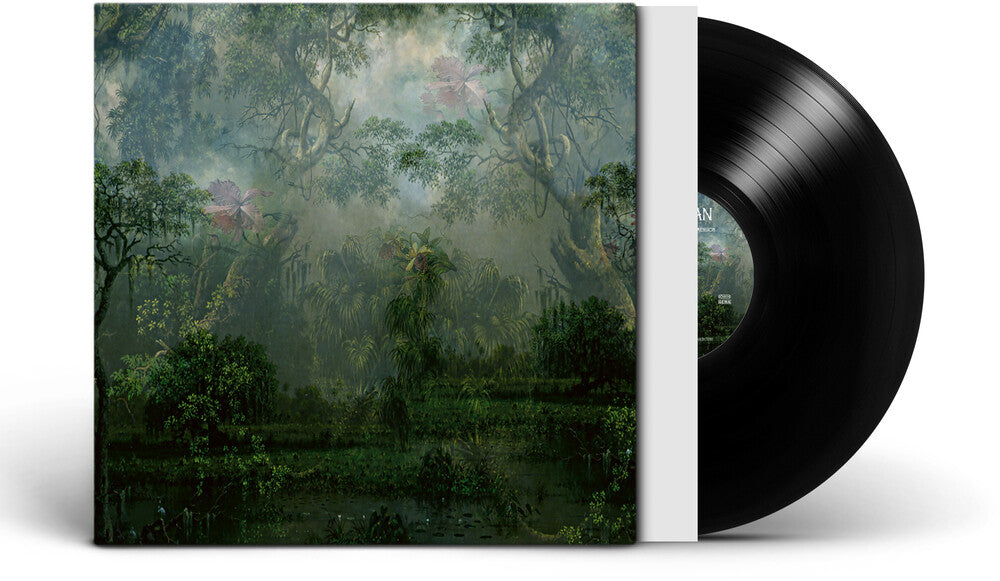 The Coloured Breeze Is a New Dimension [LP] Vinyl Record