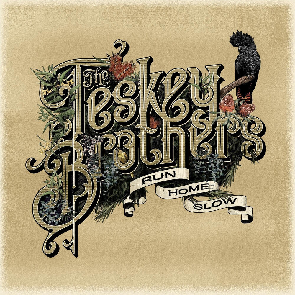 Teskey Brothers - Run Home Slow [LP] Vinyl Record