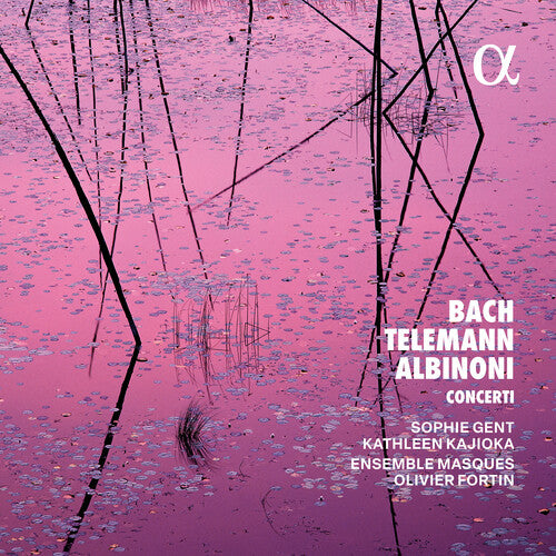 Ensemble Masques / Albinoni - Bach Telemann & Albinoni: Concerti - Music CD