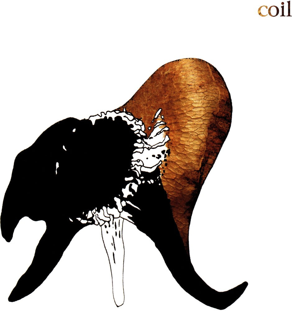 Black Antlers Music CD