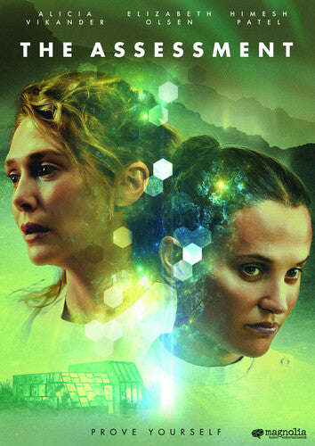 Assessment - Assessment - DVD