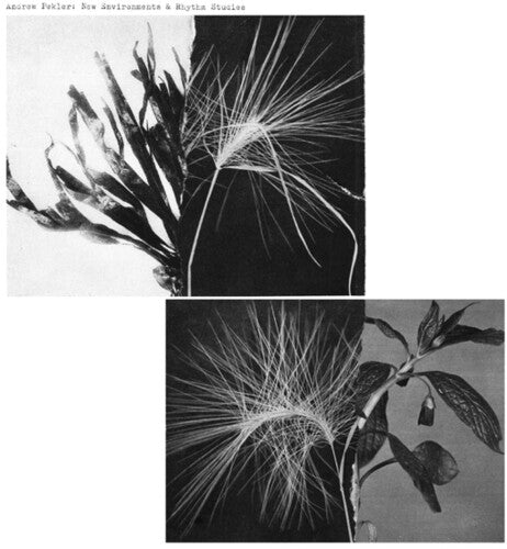 Pekler,andrew - New Environments & Rhythm Studies - Vinyl Record