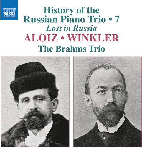 Brahms Trio - History Of The Russian Pno Trio Vol. 7 - Aloiz & - Music CD