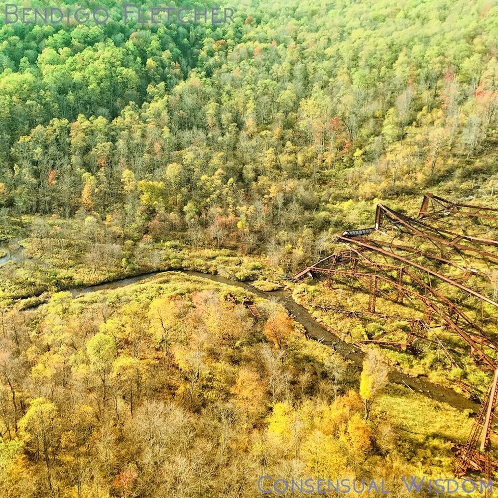 Bendigo Fletcher - Consensual Wisdom (Beig) [Colored Vinyl] Vinyl Record