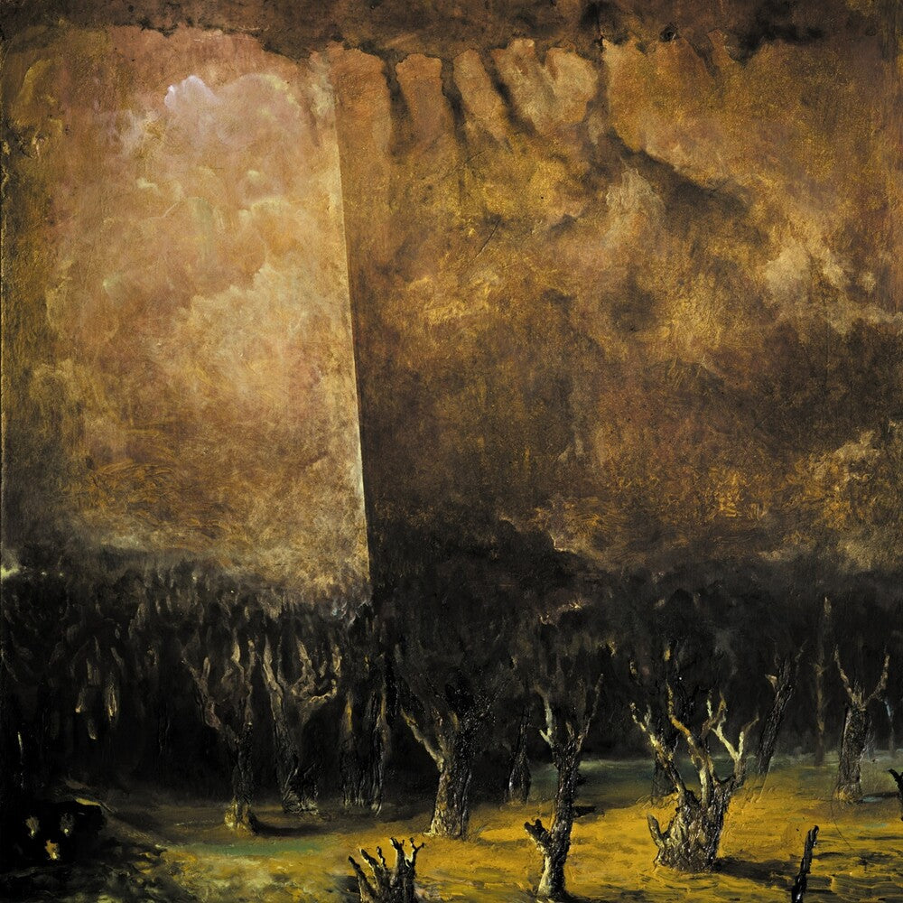 the album cover for Tenebrae In Perpetuum - Vacuum Coeli (Uk)