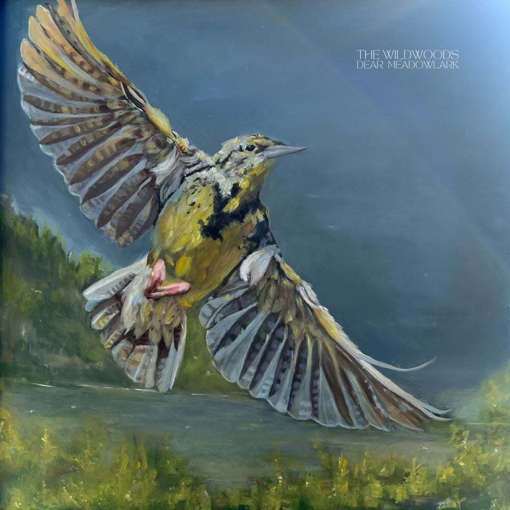 Dear Meadowlark [LP] Vinyl Record