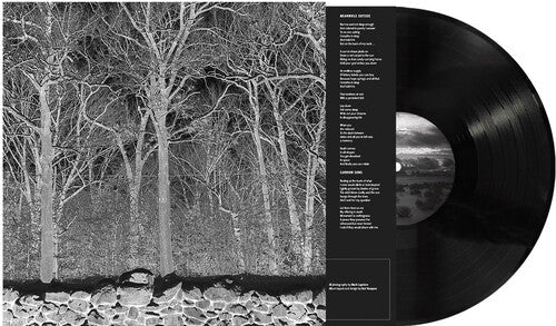 Pile - Sunshine and Balance Beams Vinyl Record
