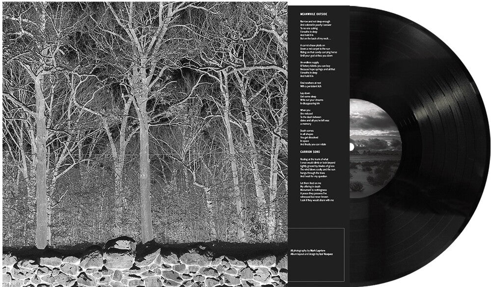 Sunshine & Balance Beams [LP] Vinyl Record