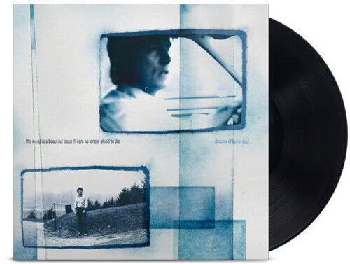 World Is A Beautiful Place & I Am No Longer Afraid - Dreams Of Being Dust - Vinyl Record
