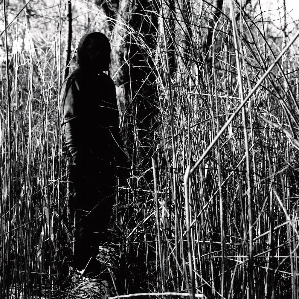 Today I Wrote Nothing (10 Year Anniversary) (Aniv) Music CD