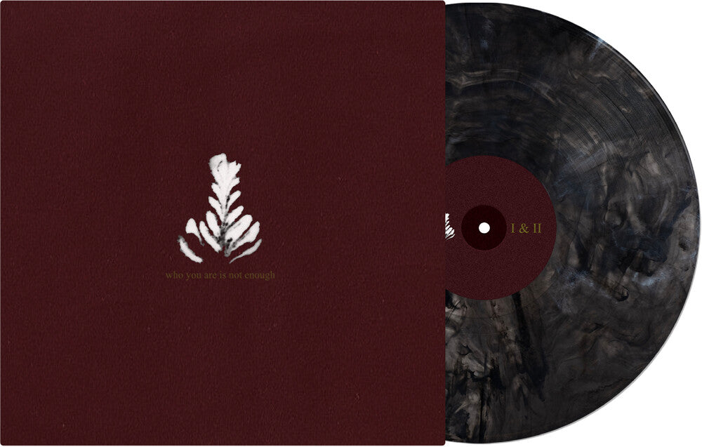 Who You Are Is Not Enough (Blk) [Colored Vinyl] (Gry) Vinyl Record