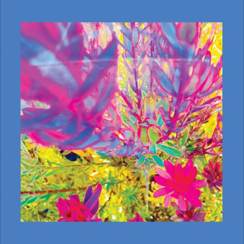 Reds Pinks & Purples - Past Is A Garden I Never Fed - Vinyl Record