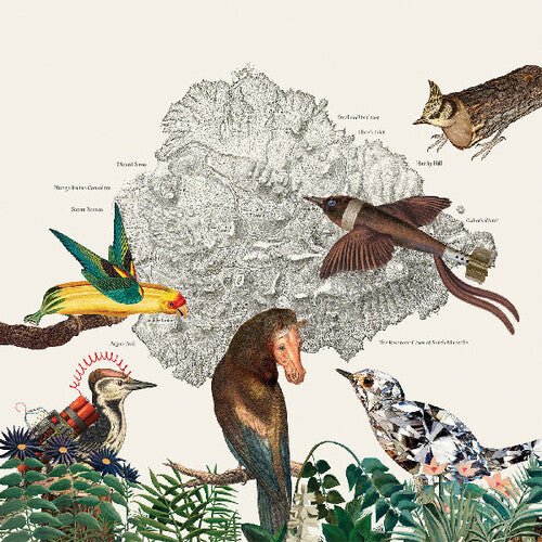 Friendly Rich - Birds Of Marsville - Vinyl Record