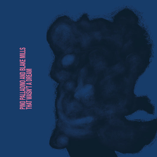the album cover for Palladino, Pino / Mills, Blake - That Wasn't A Dream