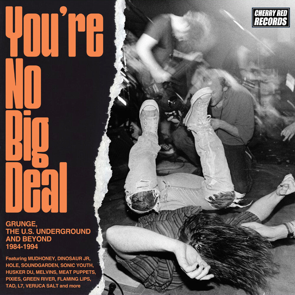 the album cover for You're No Big Deal: Grunge Us Underground & Beyond - You're No Big Deal: Grunge Us Underground & Beyond