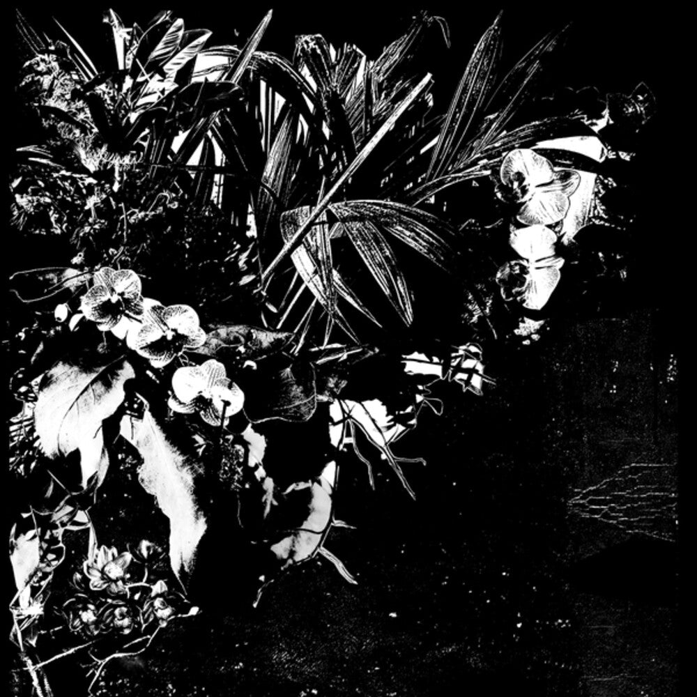 Jef Mertens - Orchid Alto [LP] Vinyl Record