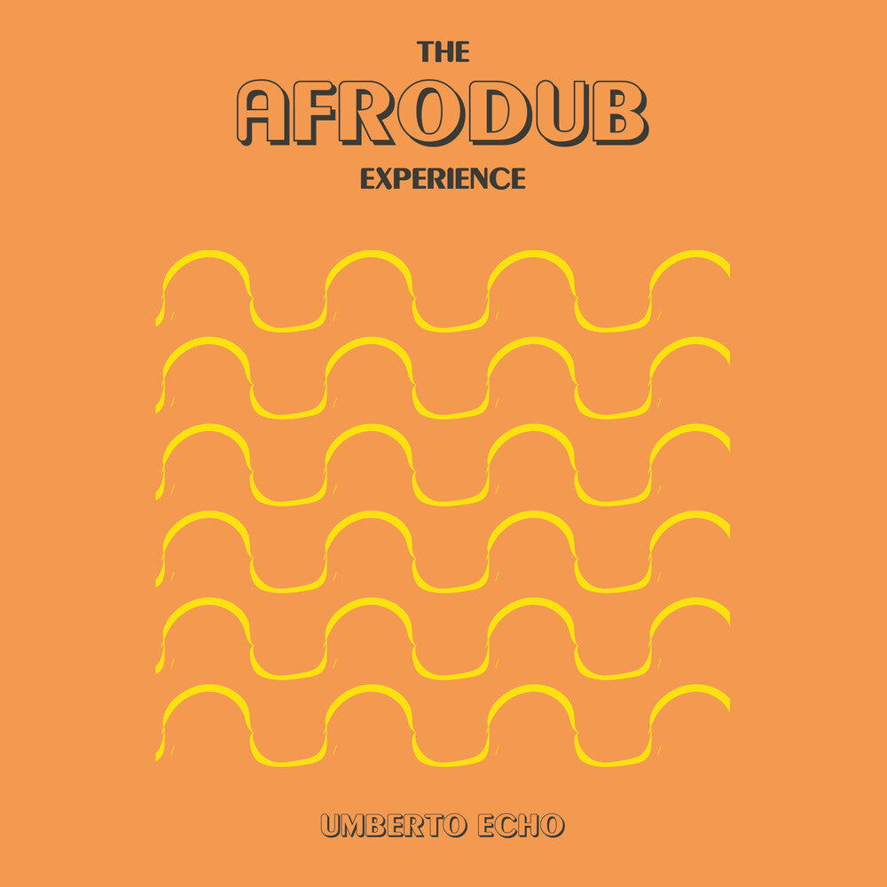 The Afrodub Experience Music CD