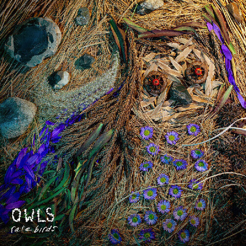 Owls - Rare Birds - Music CD