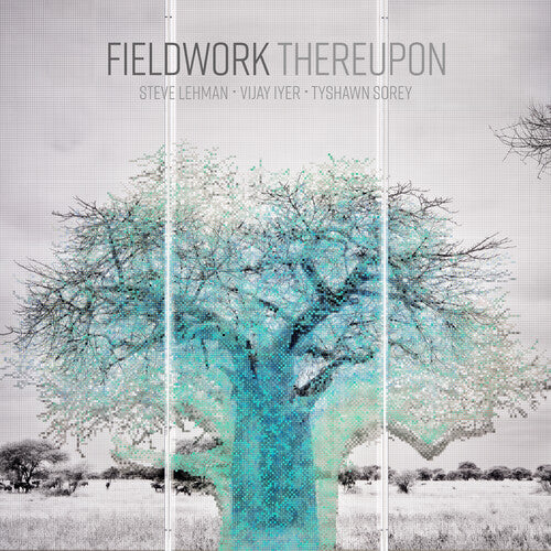 Fieldwork - Thereupon - Music CD