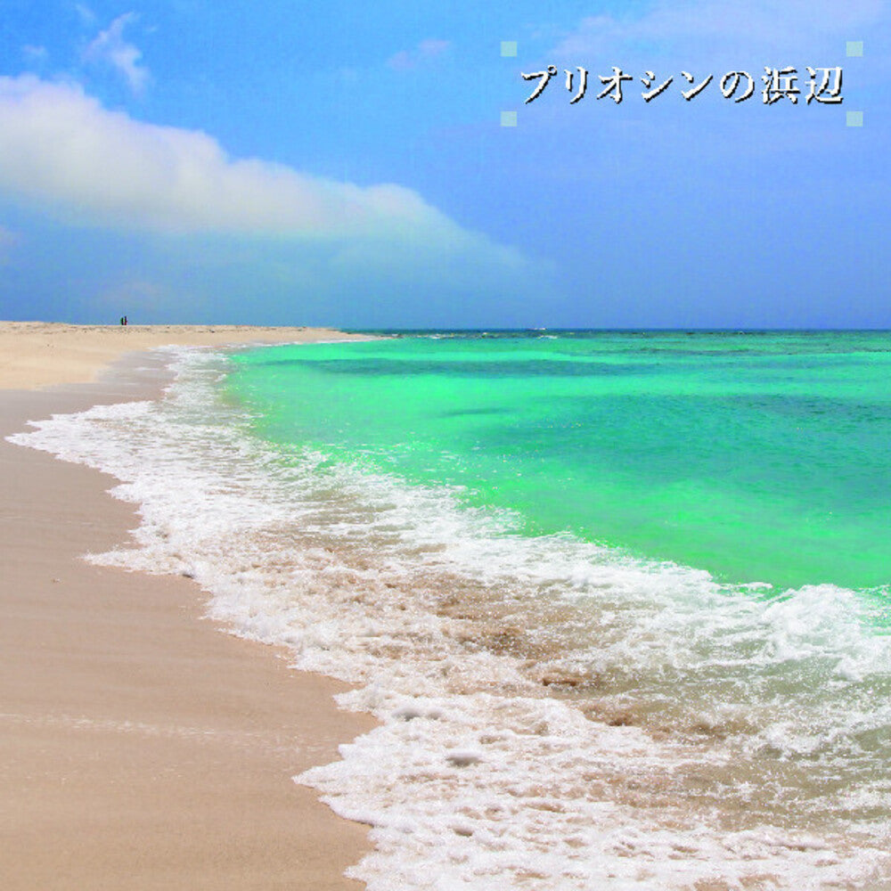 Beach Of The Pliocene [LP] Vinyl Record