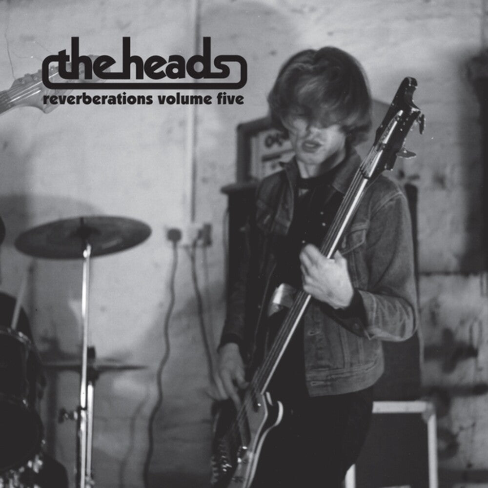 Reverberations Volume 5 [LP] Vinyl Record