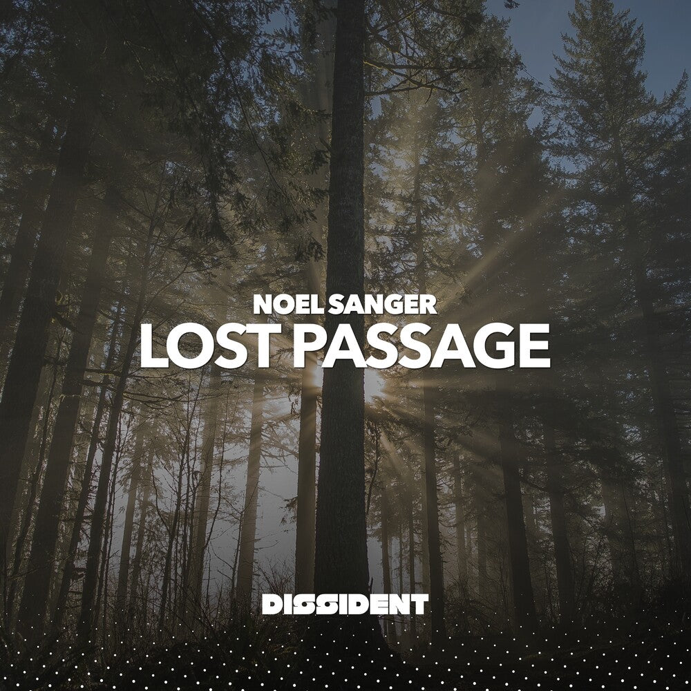 the album cover for Sanger, Noel - Lost Passage