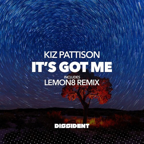 Pattison,kiz - It's Got Me - Music CD