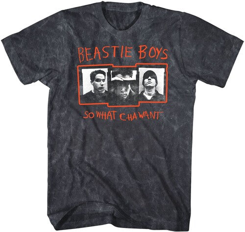 Beastie Boys What Cha Want Tshirt Lg 10431068a3 - Beastie Boys What Cha Want Tshirt Lg 10431068a3 - Apparel