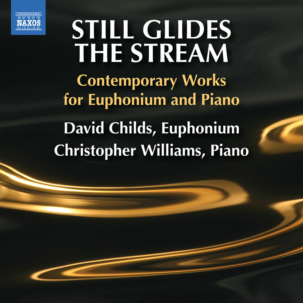 the album cover for David Childs - Still Glides The Stream - Contemporary Works For E