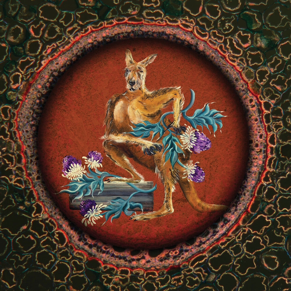 the album cover for Cardiacs - Lsd [With Booklet] [Digipak]